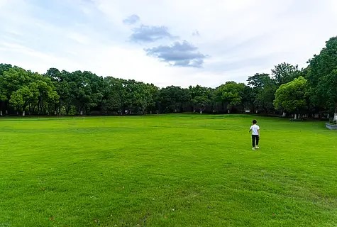 男孩儿童学生草地树林奔跑商业照片